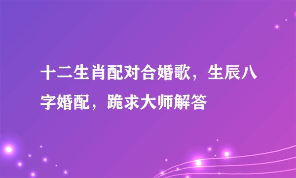 十二生肖配对合婚歌，生辰八字婚配，跪求大师解答