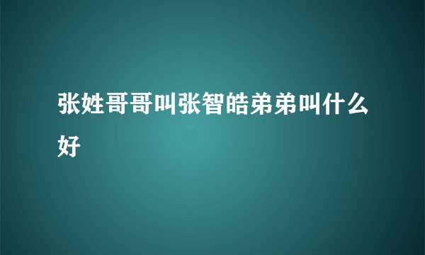 张姓哥哥叫张智皓弟弟叫什么好