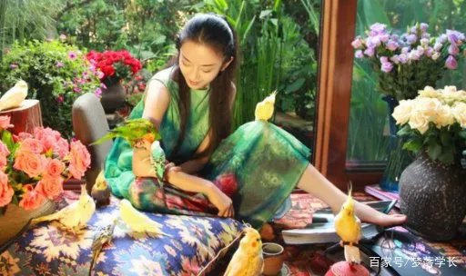 杨丽萍的豪华宫殿被查,内部肮脏不堪,网友直呼封的好,究竟咋回事?