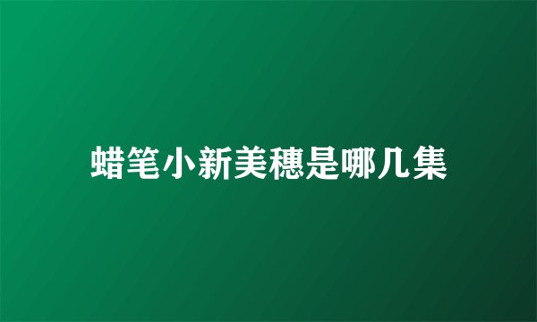 蜡笔小新美穗是哪几集