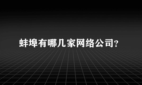 蚌埠有哪几家网络公司？
