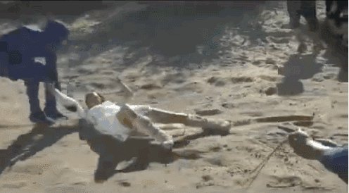 赵丽颖因消耗过度而停工