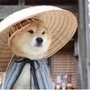 多一块屏幕多一种可能 在售双屏旗舰手机推荐