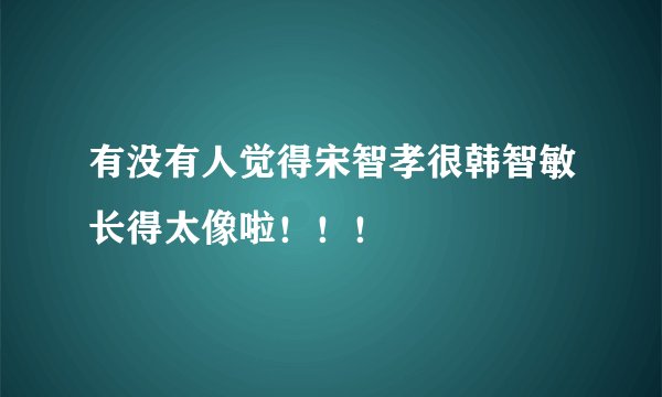 有没有人觉得宋智孝很韩智敏长得太像啦！！！