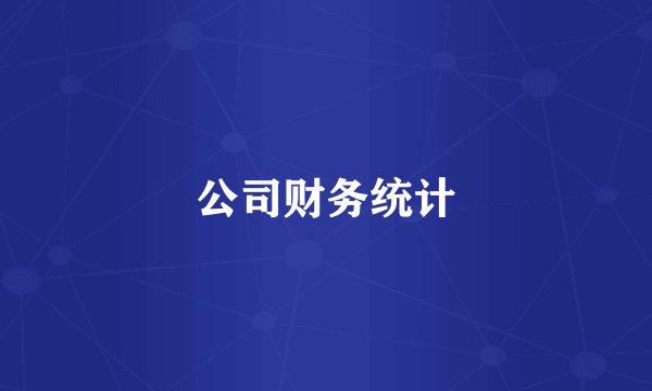 公司财务统计