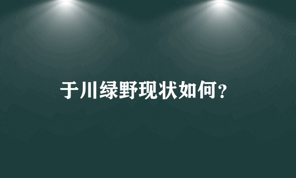 于川绿野现状如何？