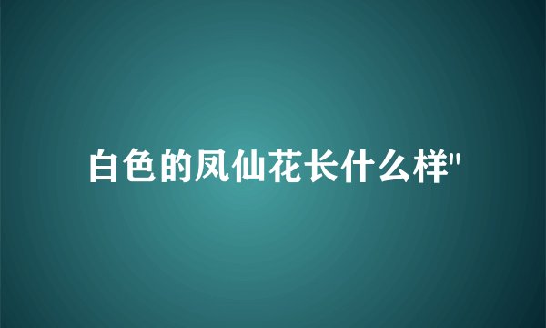 白色的凤仙花长什么样