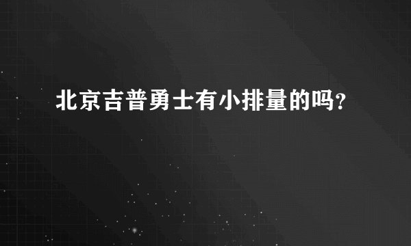 北京吉普勇士有小排量的吗？