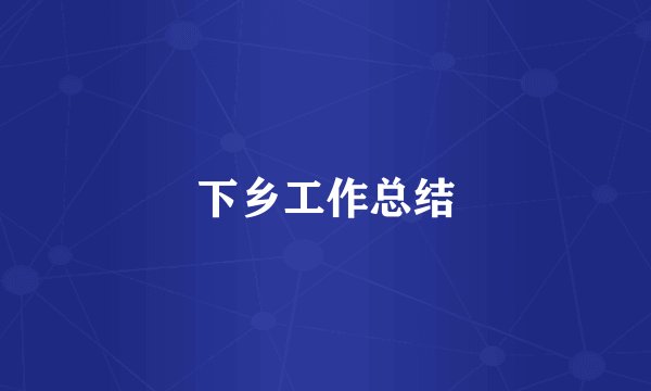 下乡工作总结