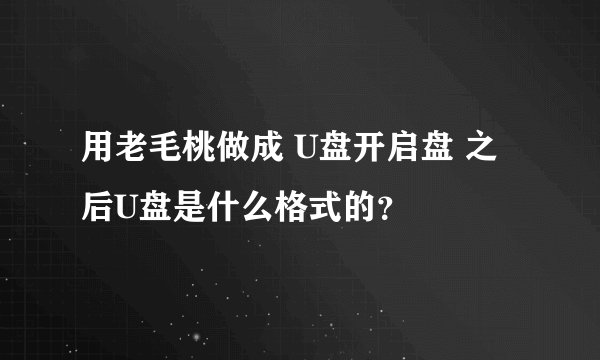 用老毛桃做成 U盘开启盘 之后U盘是什么格式的？