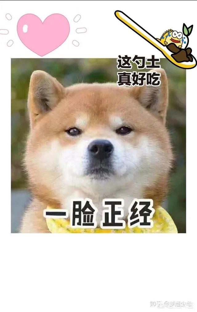 孙兴慜一条龙破门，对此你怎么看？国足有这样的球员吗？