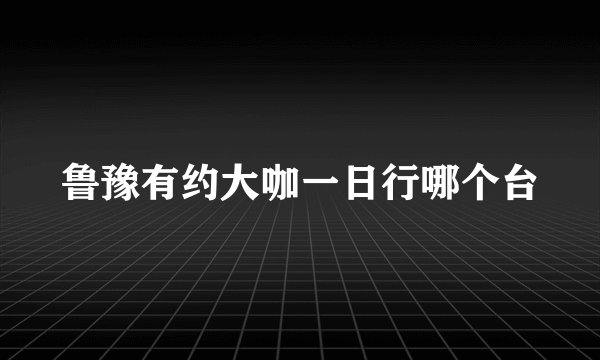 鲁豫有约大咖一日行哪个台