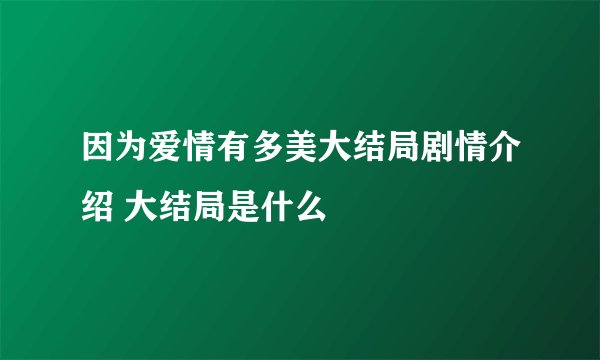 因为爱情有多美大结局剧情介绍 大结局是什么