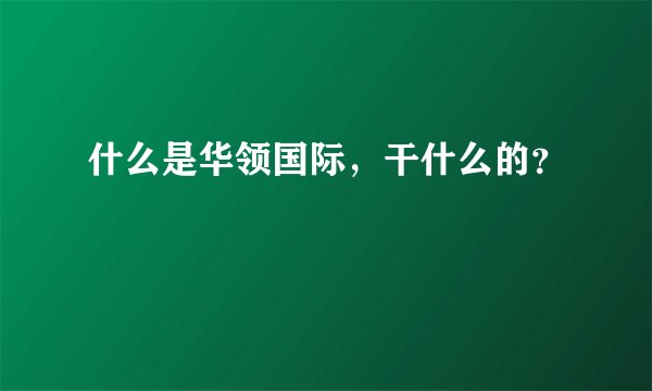 什么是华领国际，干什么的？