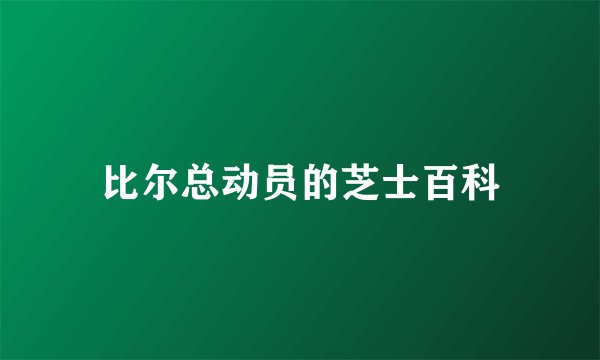 比尔总动员的芝士百科