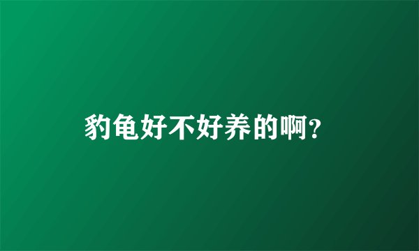 豹龟好不好养的啊?