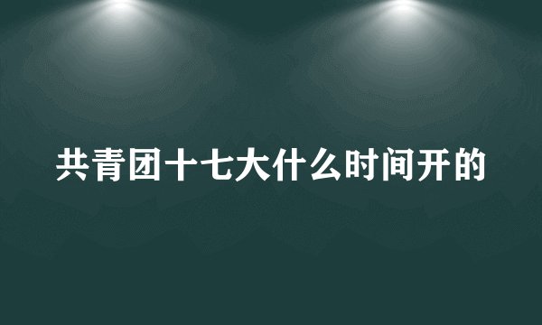 共青团十七大什么时间开的