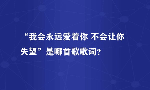 “我会永远爱着你 不会让你失望”是哪首歌歌词？