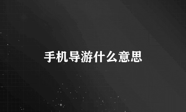 手机导游什么意思