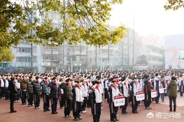 为什么有人说好学校是稀缺资源?中国教师的学历到底有多高?
