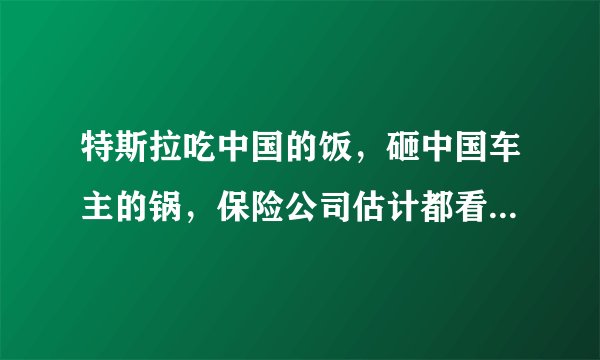特斯拉吃中国的饭，砸中国车主的锅，保险公司估计都看不下去了。