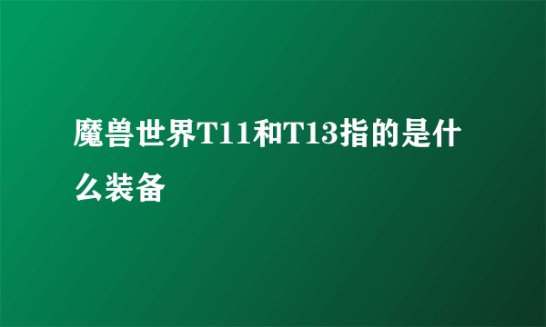 魔兽世界T11和T13指的是什么装备