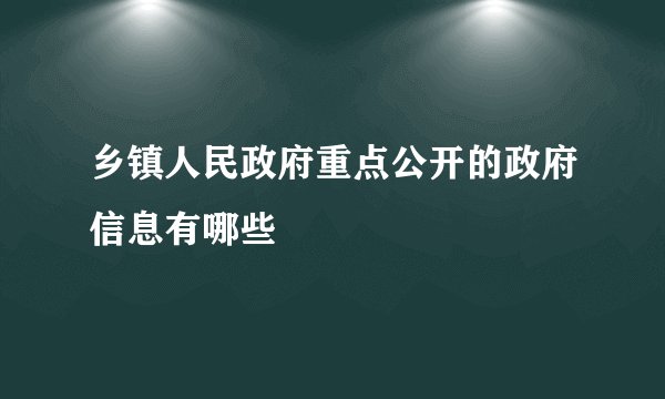 乡镇人民政府重点公开的政府信息有哪些