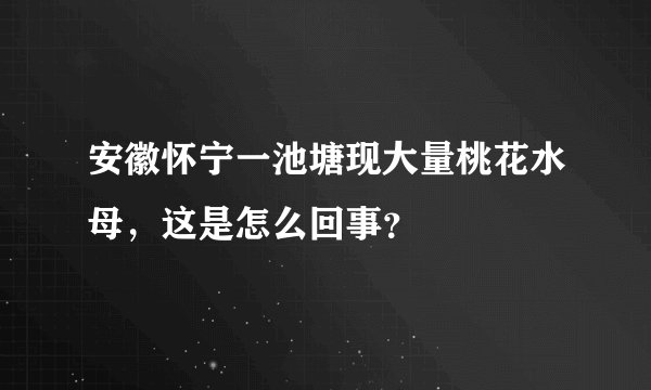 安徽怀宁一池塘现大量桃花水母，这是怎么回事？