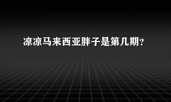 凉凉马来西亚胖子是第几期？