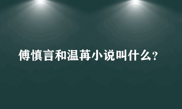 傅慎言和温苒小说叫什么？