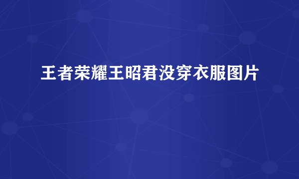 王者荣耀王昭君没穿衣服图片
