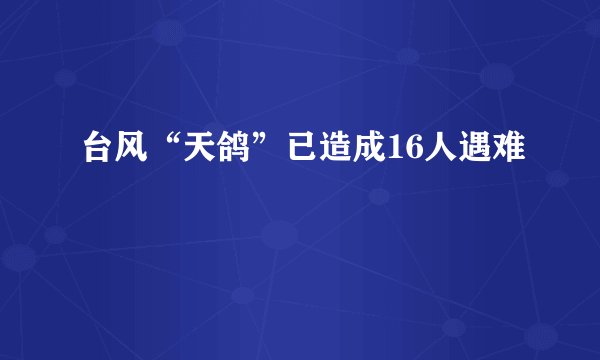 台风“天鸽”已造成16人遇难