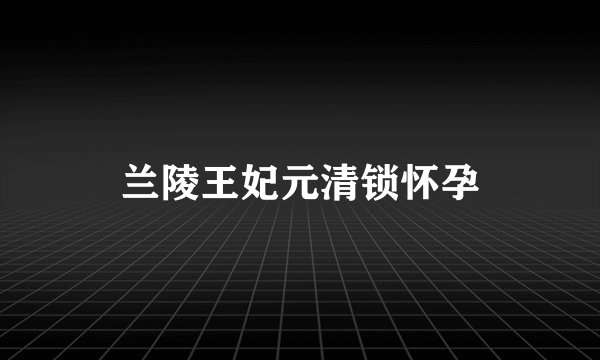 兰陵王妃元清锁怀孕