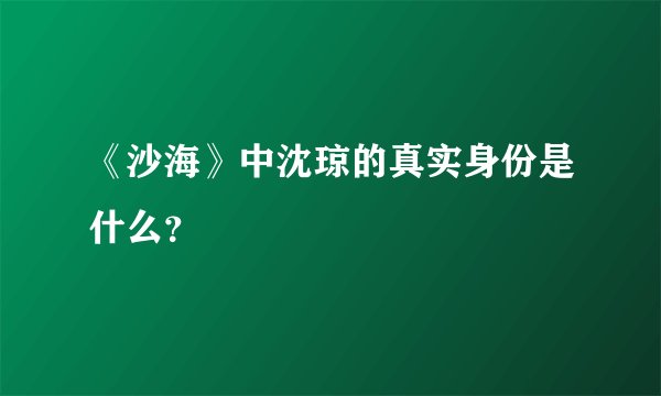 《沙海》中沈琼的真实身份是什么？