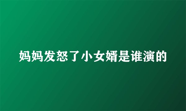 妈妈发怒了小女婿是谁演的
