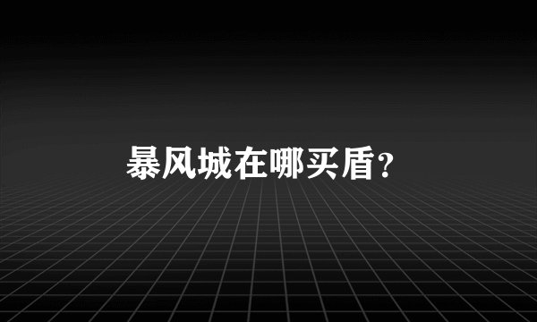 暴风城在哪买盾?