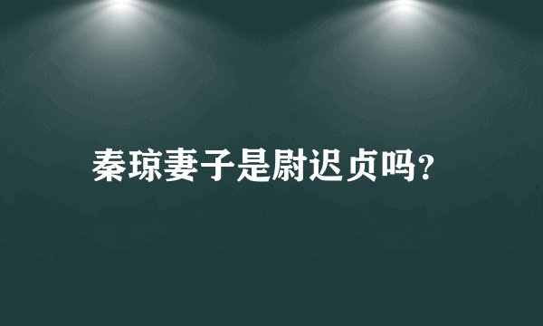 秦琼妻子是尉迟贞吗？