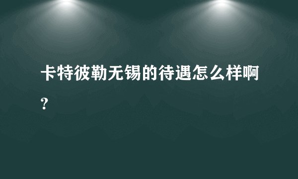 卡特彼勒无锡的待遇怎么样啊？