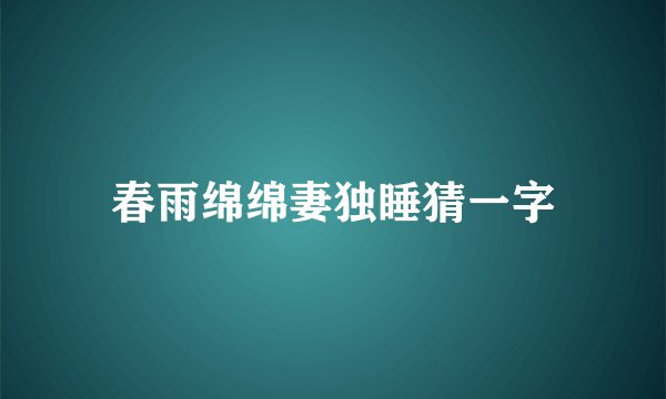 春雨绵绵妻独睡猜一字