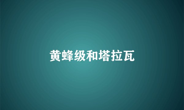 黄蜂级和塔拉瓦