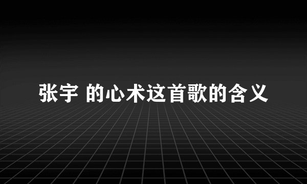 张宇 的心术这首歌的含义