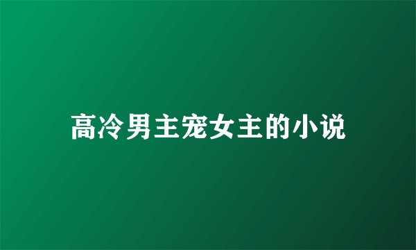 高冷男主宠女主的小说
