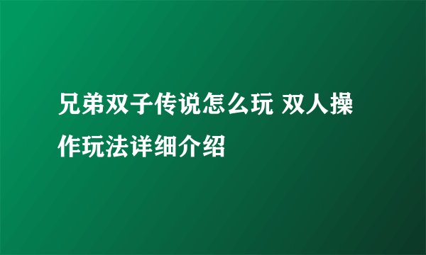 兄弟双子传说怎么玩 双人操作玩法详细介绍