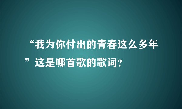 “我为你付出的青春这么多年”这是哪首歌的歌词？
