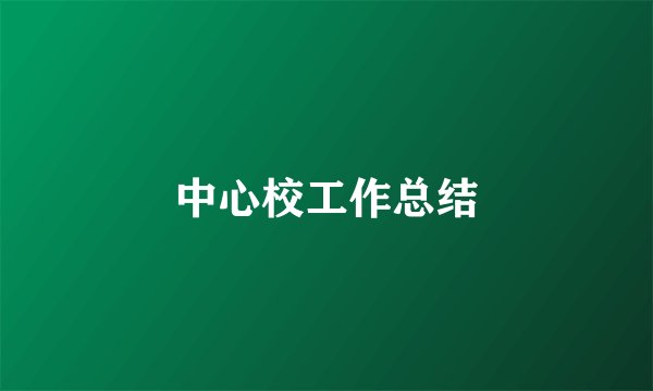 中心校工作总结