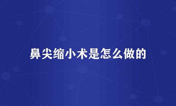 鼻尖缩小术是怎么做的