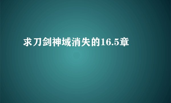求刀剑神域消失的16.5章