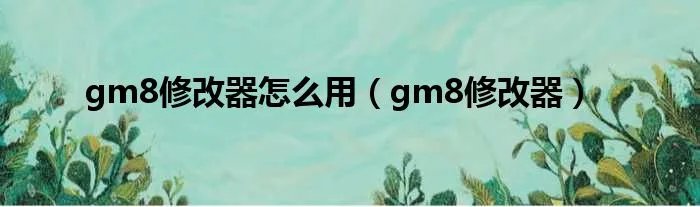 gm8修改器怎么用（gm8修改器）