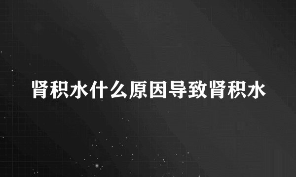 肾积水什么原因导致肾积水