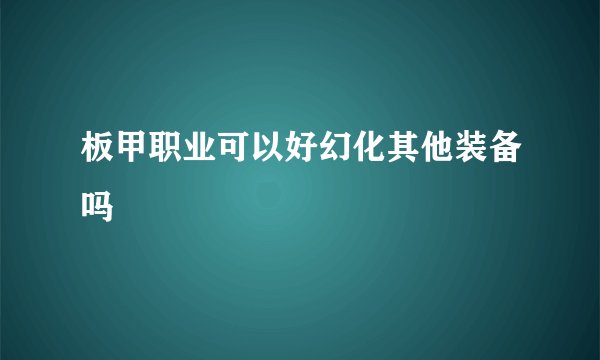 板甲职业可以好幻化其他装备吗